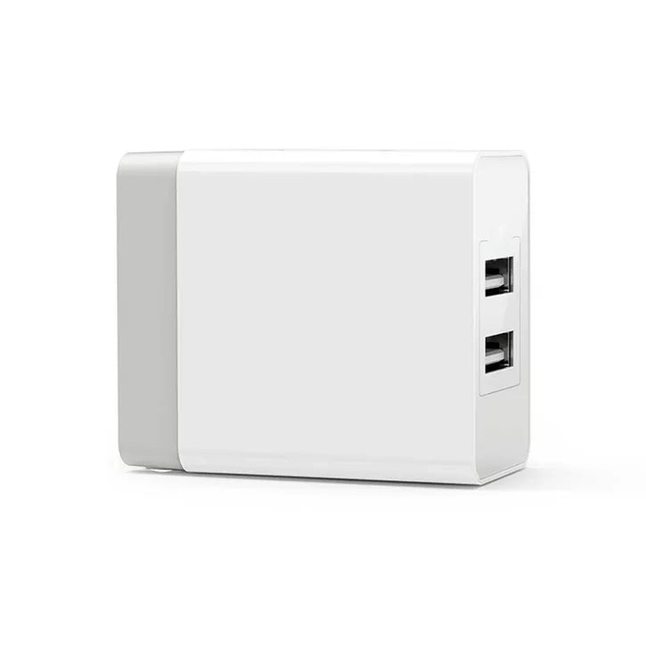 Compact Dual-Port USB Wall Charger with Foldable Prongs and Universal Voltage