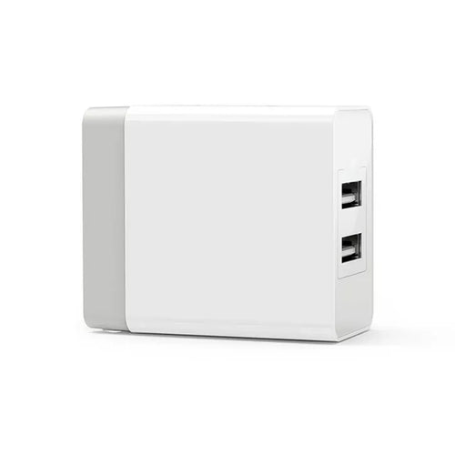 Compact Dual-Port USB Wall Charger with Foldable Prongs and Universal Voltage